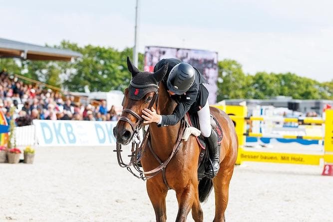 Rider patting a horse after the round