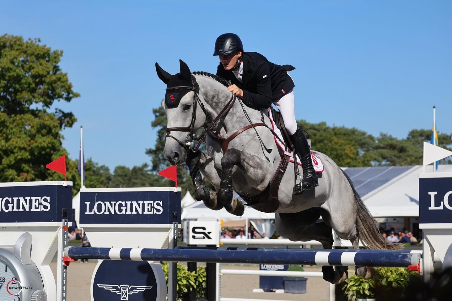 Show jumping training